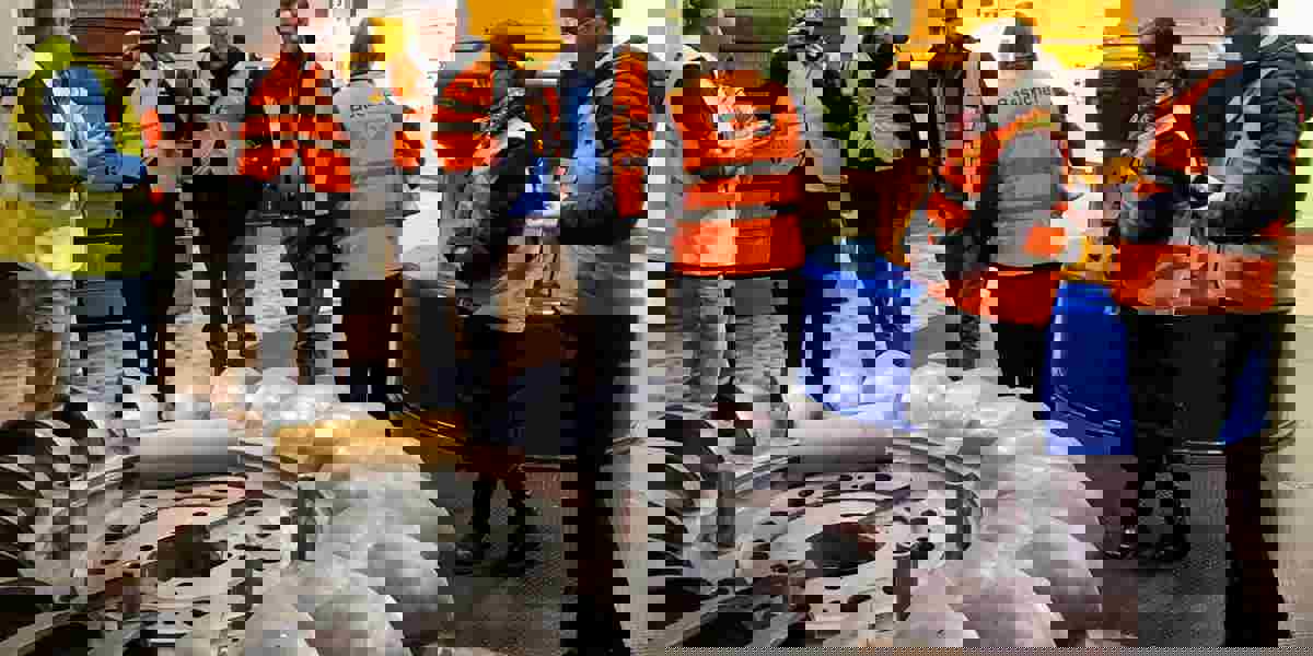 53057625058 7E7c91388b O (1)