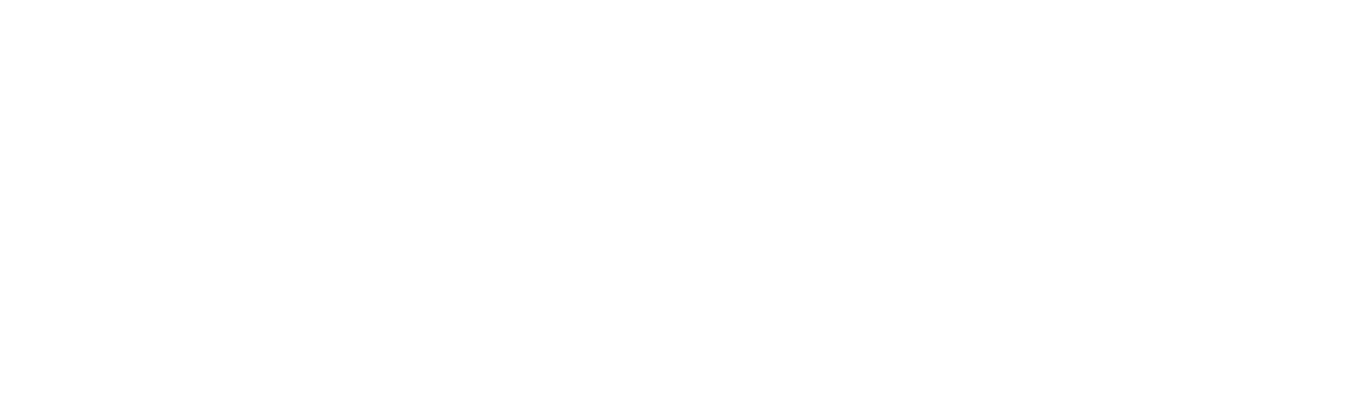 Hsg Alumni Logo De Rgb Weiss