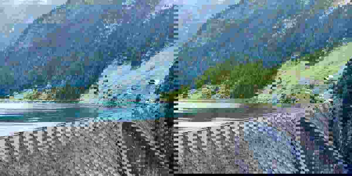 Anthony Da Cruz Sgom1cy4o5q Unsplash (1)